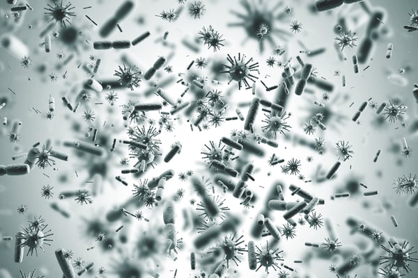 airbornebacteria