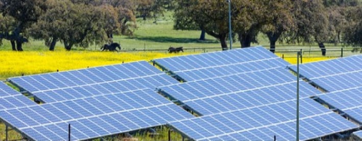 3 Benefits for Community Solar Projects in New York