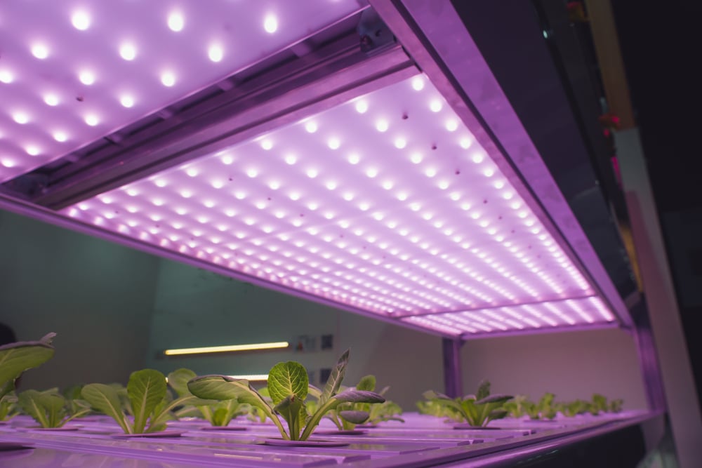 Led grow plant. Led grow Light GM 100. Упаковка led grow Light. Подсветка для цветов. Искусственное освещение растений.