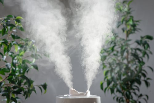 humidifier