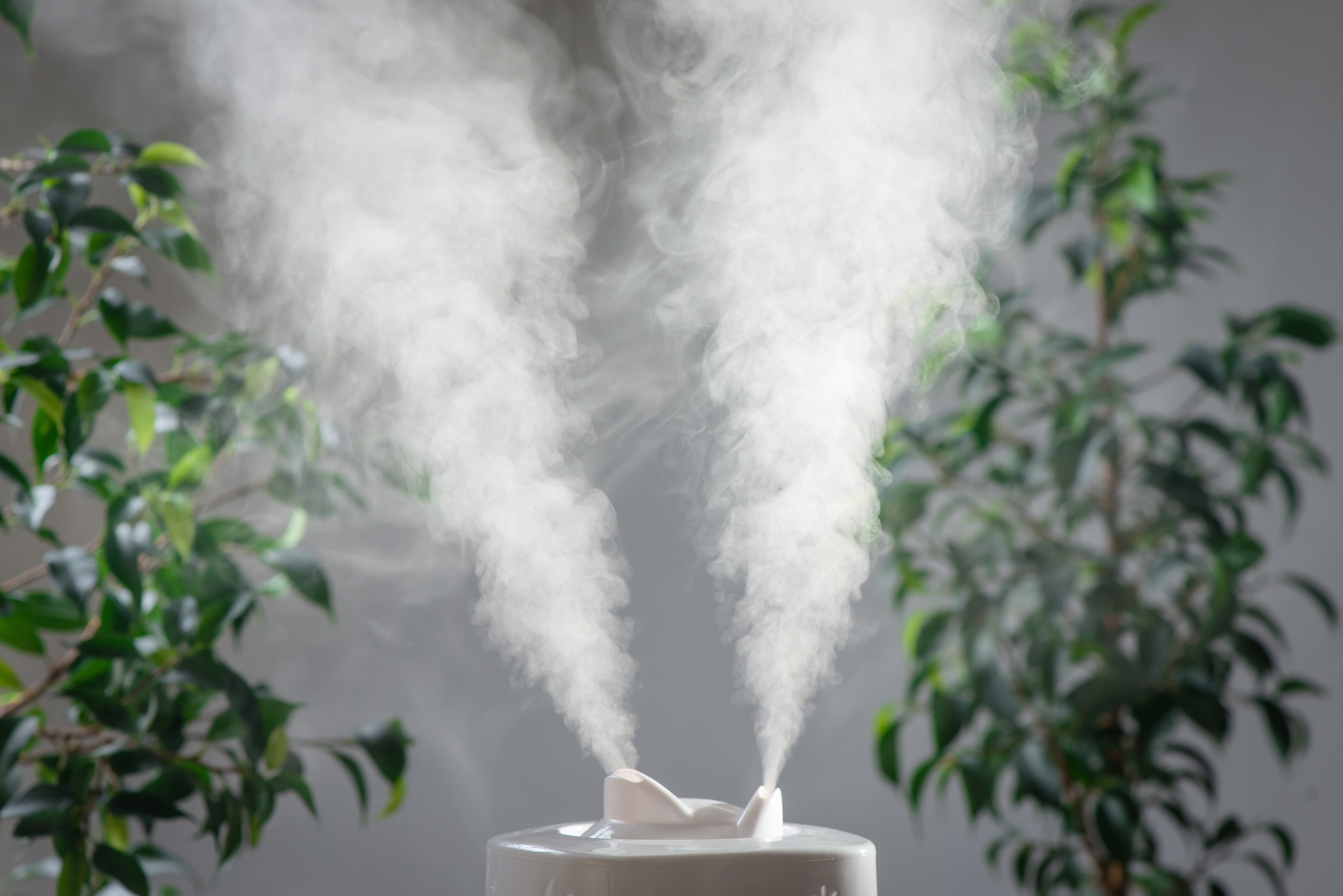humidifier.jpg humidifier.jpg
