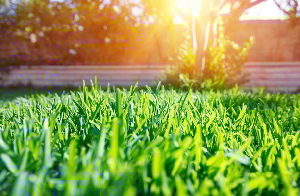 landscapingdesign