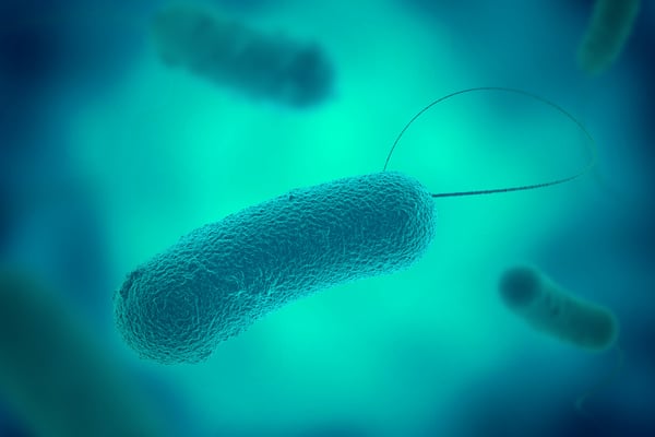 legionella