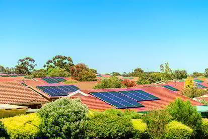 Local Laws 92 and 94 of 2019: Mandatory Solar and Green Roofs in NYC