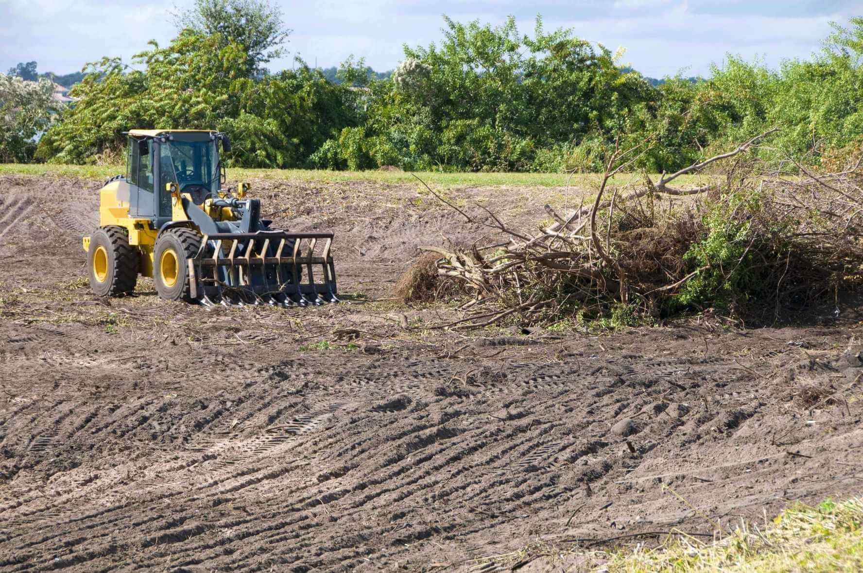 Construction Tips For Wetland Areas