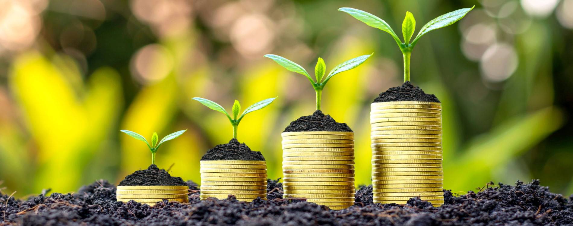 Green Investments That Will Increase The Value of Your Property