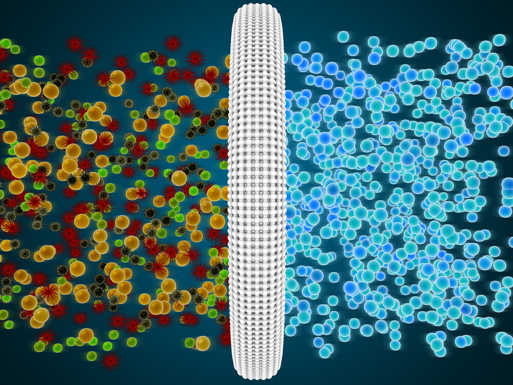 bacteria in air