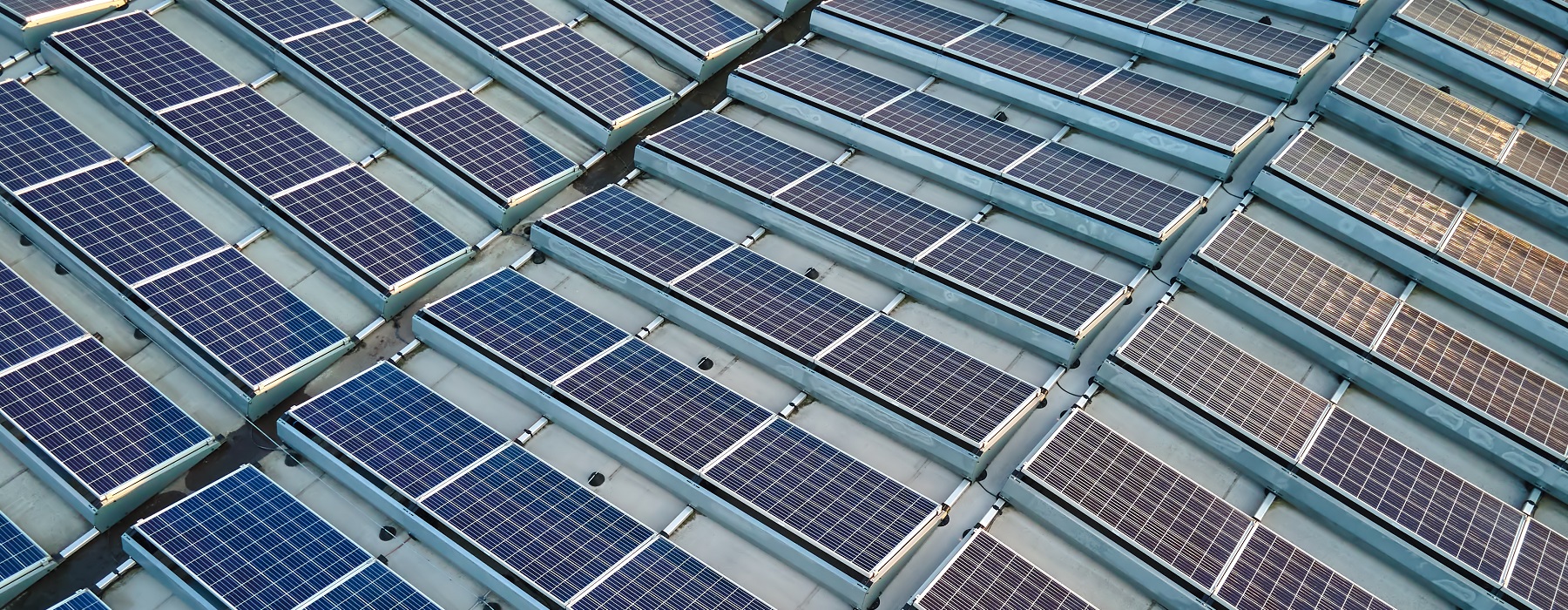 Commercial Solar Panels: 3 Features to Look For Before Your Purchase