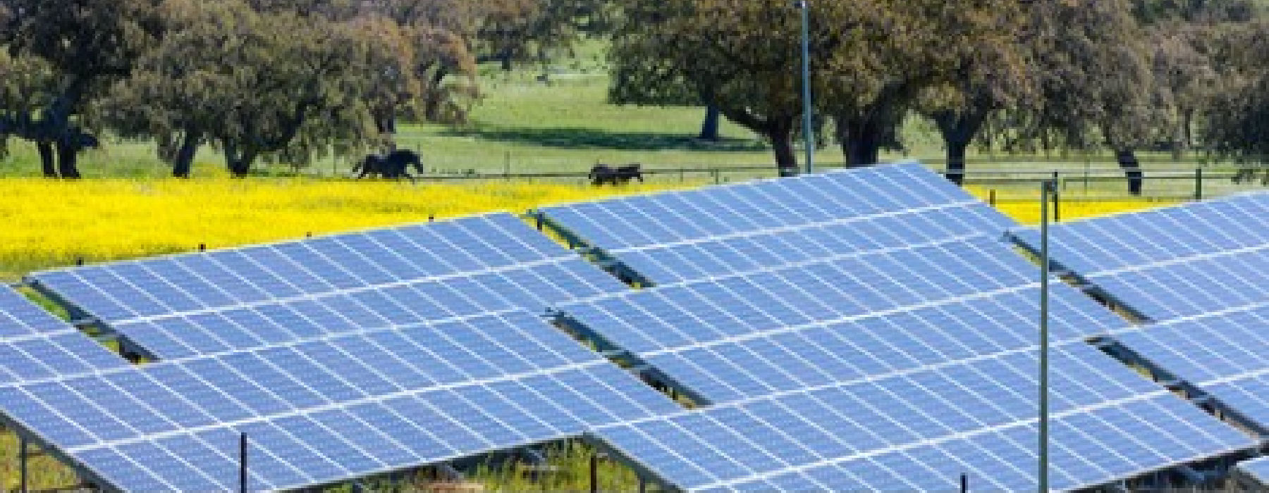 3 Benefits for Community Solar Projects in New York