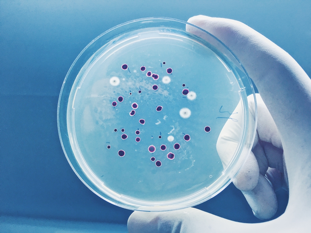 Mold and Legionella Prevention in Unoccupied Buildings