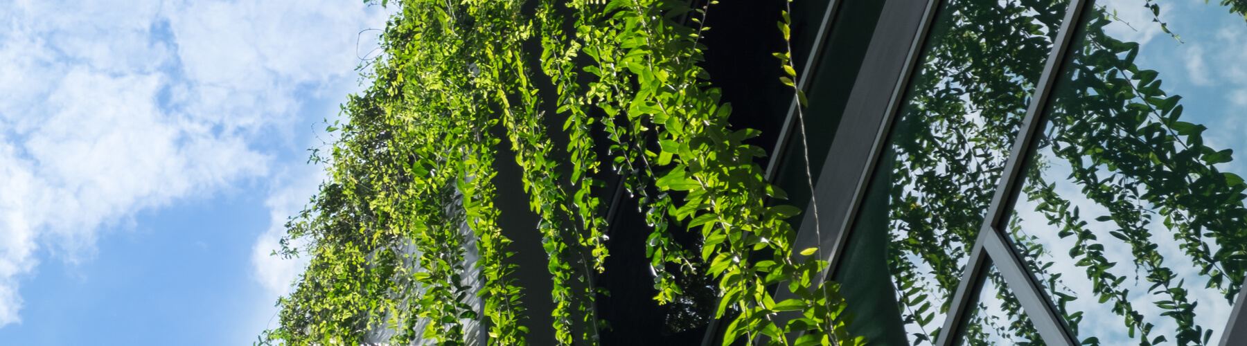 How the Eco-Friendly Trend is Changing Real Estate