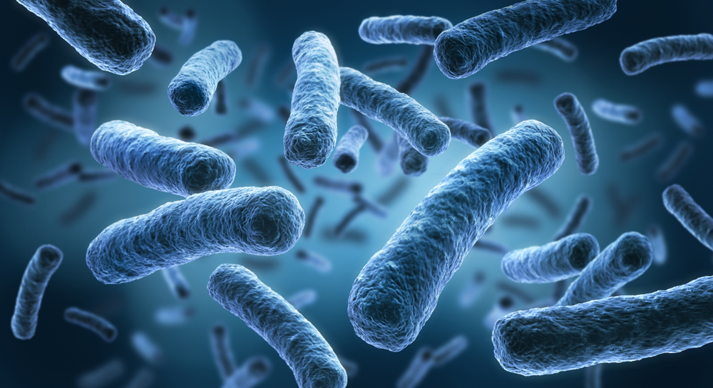 How to Prevent Legionnaires’ Disease in Building Water Systems