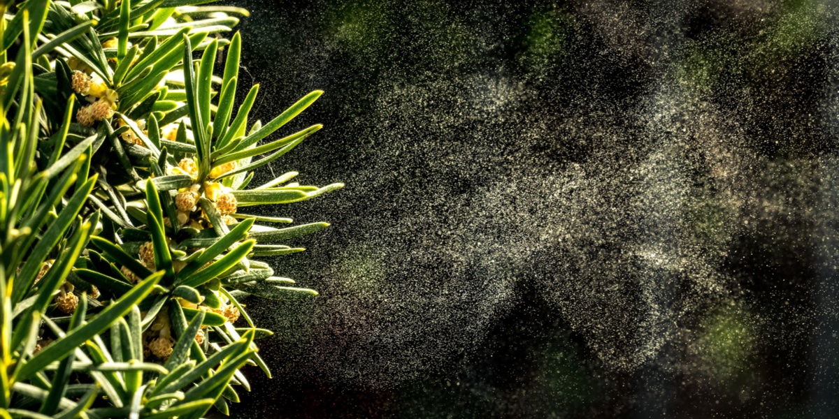 Designing HVAC Systems for Allergy Prevention