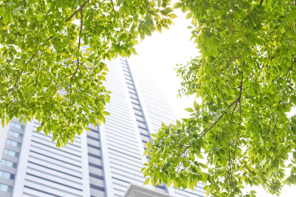 Green Construction: How to Go Green On Your Next Building