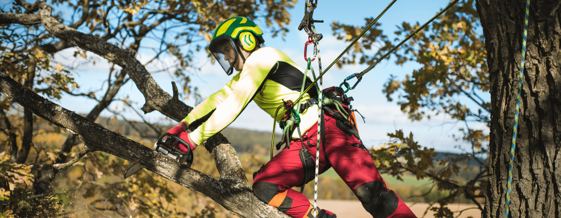 Top Five Pieces of Gear Every Arborist Should Own