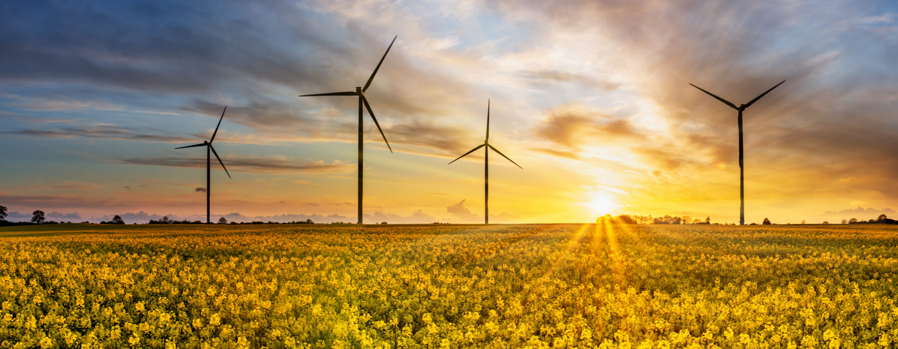 Wind and Solar: The Fastest Growing Electricity Sources in the US