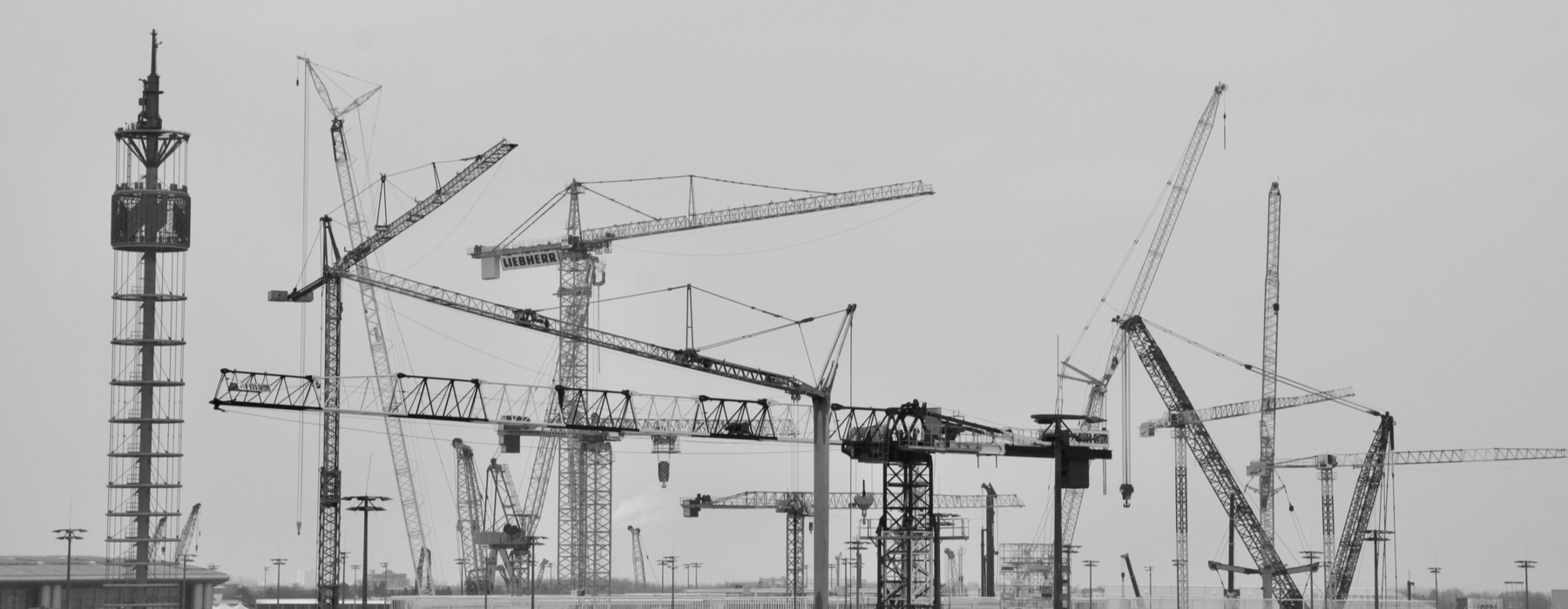 Different Types of Cranes To consider while choosing the one for your business