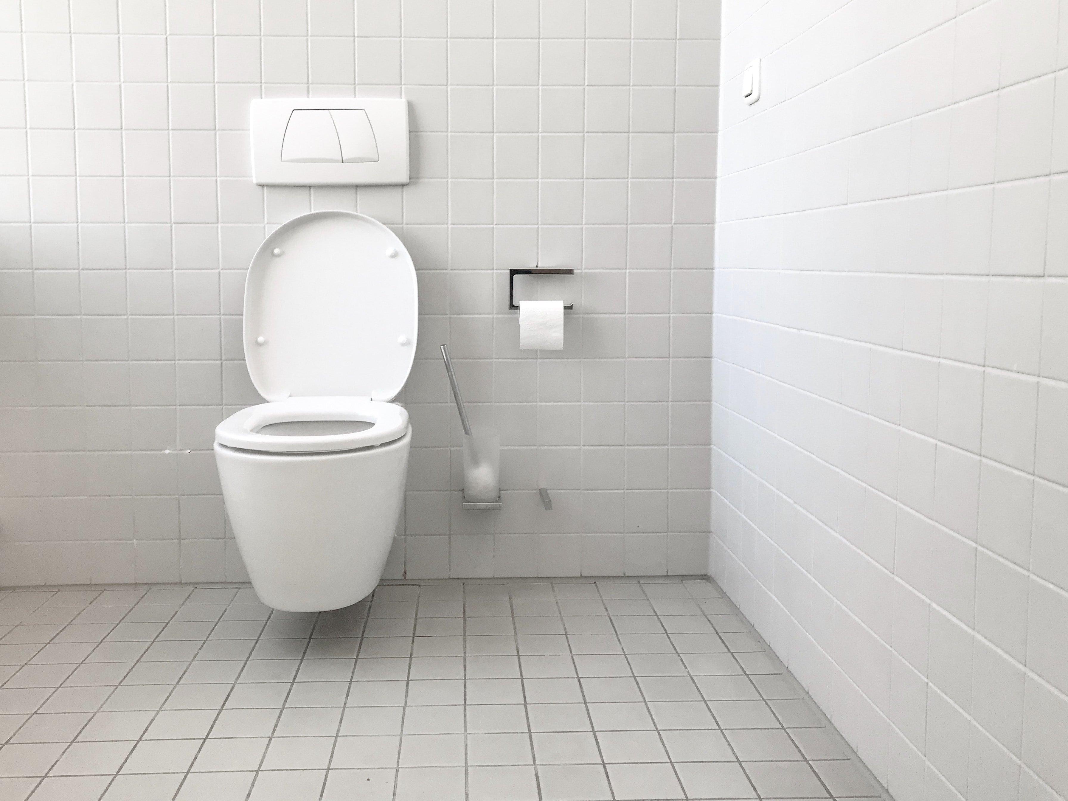 Tips to Choose an Ecological Toilet with the Right Fit and Flush