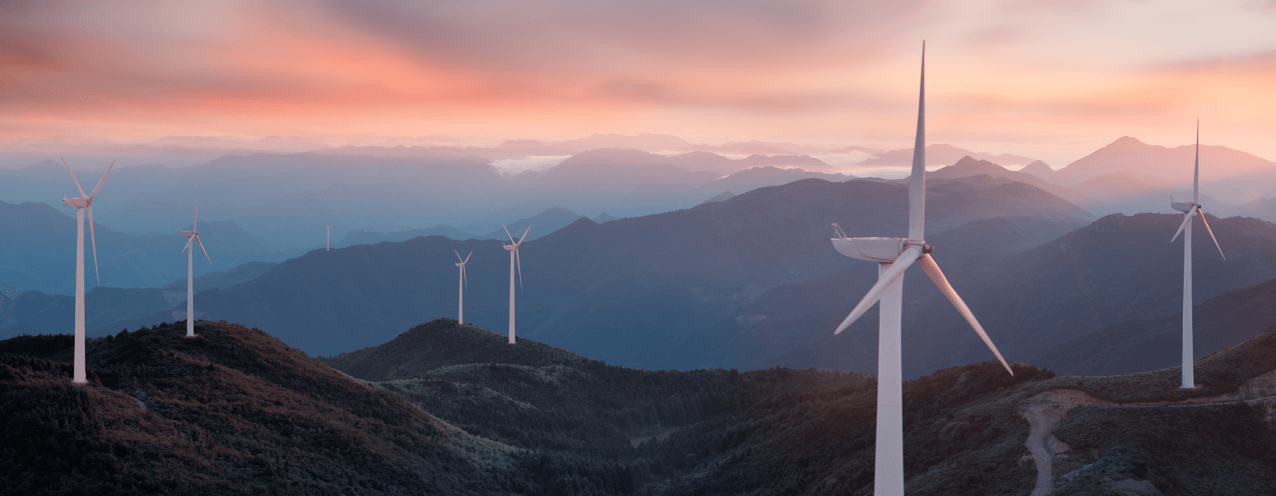 US EIA: Renewable Energy Has Surpassed Nuclear and Coal Power