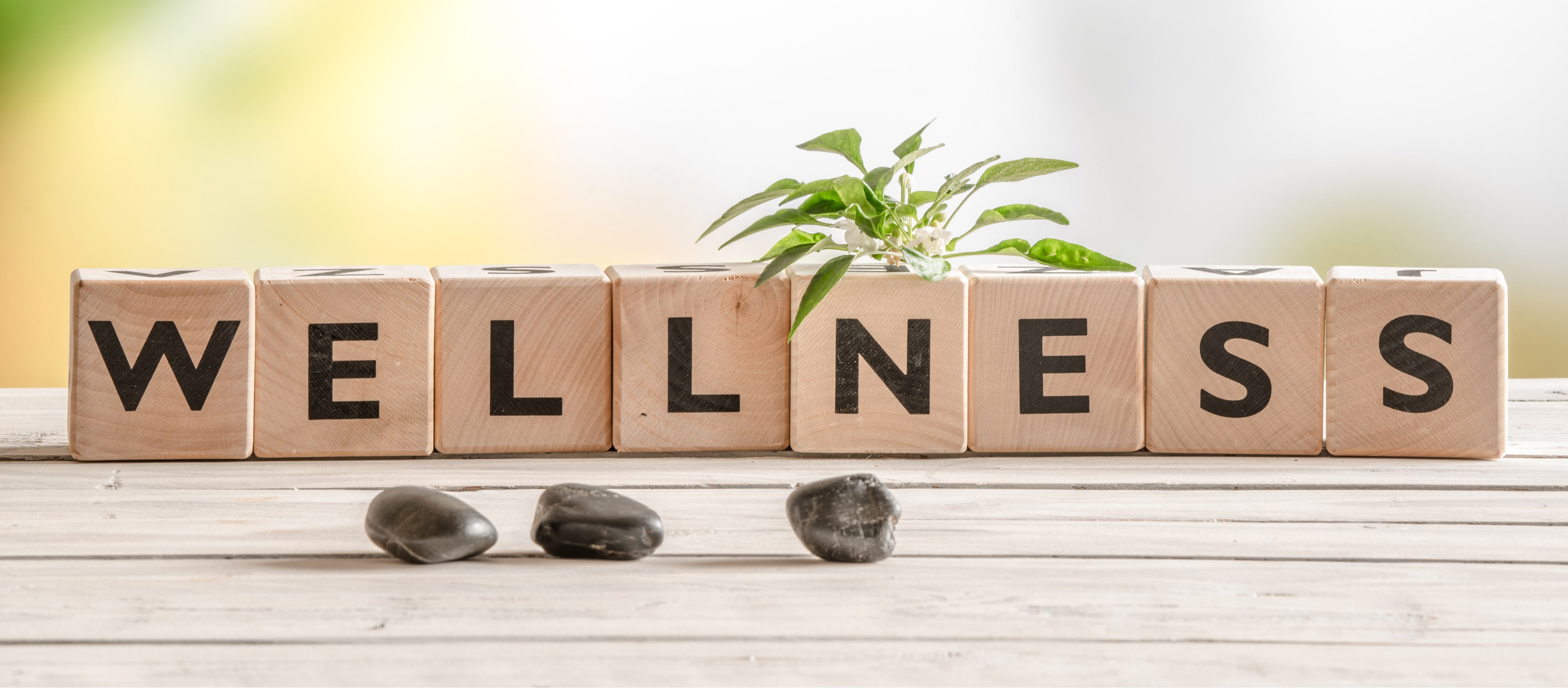 The WELL Health-Safety Rating: An Overview